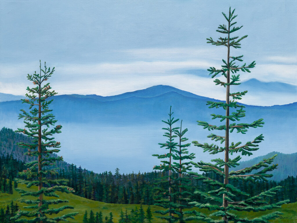 View point, Trinity Alps On the way up to Mt. Shasta there is a place of great beauty forested with the Shasta Fir or Silvertips are a favorite tree of mine because it reminds me of Christmas. Oil painting on canvas 18 “x 24”. Completed 2017