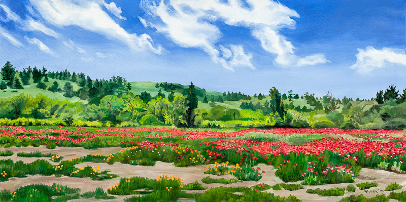 Description: Peace poppies at a California North Coast Farm. Medium: Oil on canvas Year: 2022 Dimensions: 12" H x 24" W